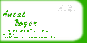 antal mozer business card